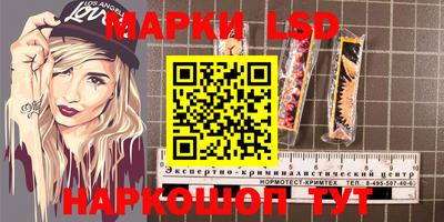спиды Гатчина