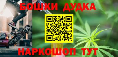 шишки Гай