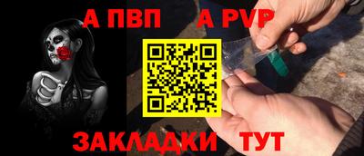 шишки Гай
