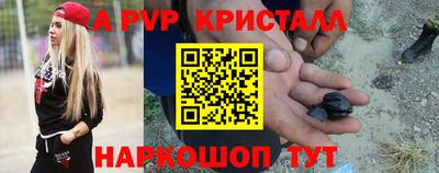 спиды Гатчина
