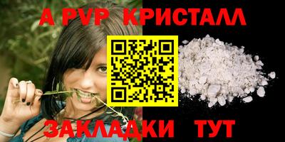 шишки Гай