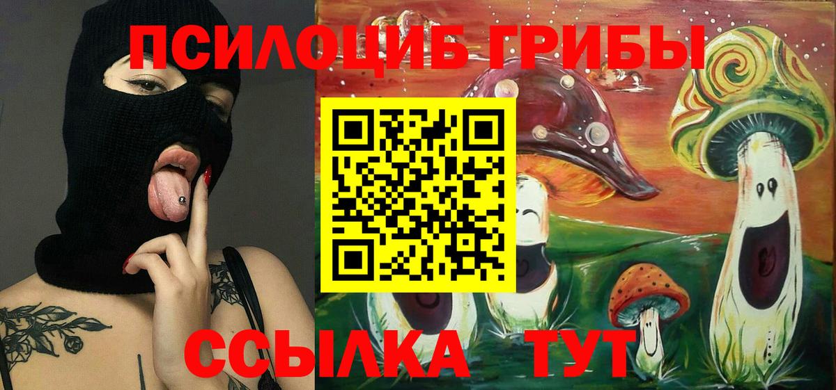 Надым  Псилоцибиновые грибы Psilocybine cubensis  Галлюциногенные грибы Cubensis  Вход с VPN 